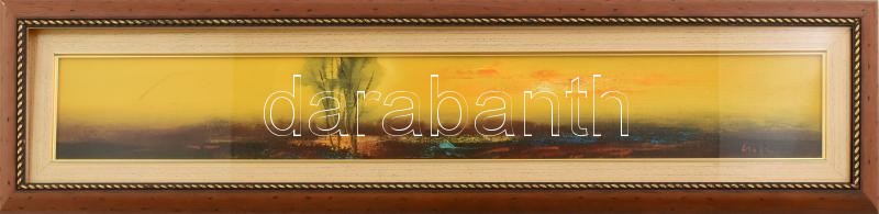 Csuta György (1952-): Köröspart. Olaj, farost, Üvegezett fakeretben, jelzett, 12x80cm