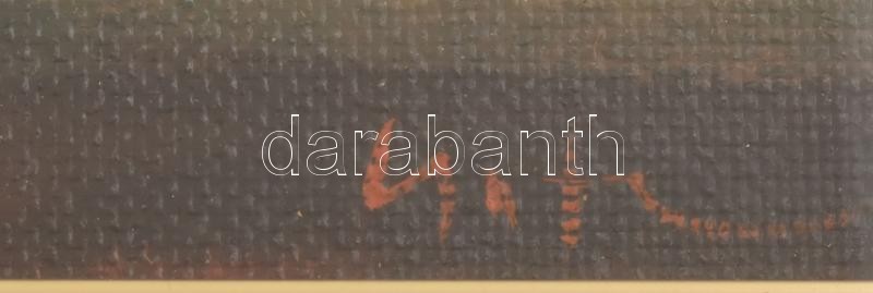 Csuta György (1952-): Köröspart. Olaj, farost, Üvegezett fakeretben, jelzett, 12x80cm - Image 2