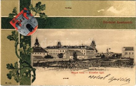 1902 Zombor, Sombor; Megyeháza, Erzsébet liget. Schön Adolf kiadása. Szecessziós címeres litho keret / county hall, park. Art Nouveau, coat of arms, litho frame (EK)