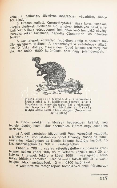 Dr. Bendefy-Benda László: A magyar föld és története I. Hazánk talaj- és kőzetviszonyai. Bp., 1934, Elbert és Társa. Kiadói egészvászon kötés, címlap kijár, kopottas állapotban. - Image 2