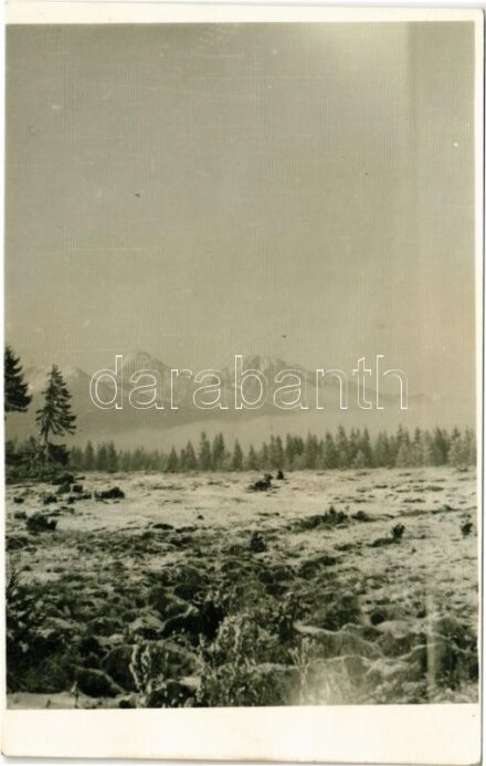 Tátra, Magas-Tátra, Vysoké Tatry; Kriván. photo