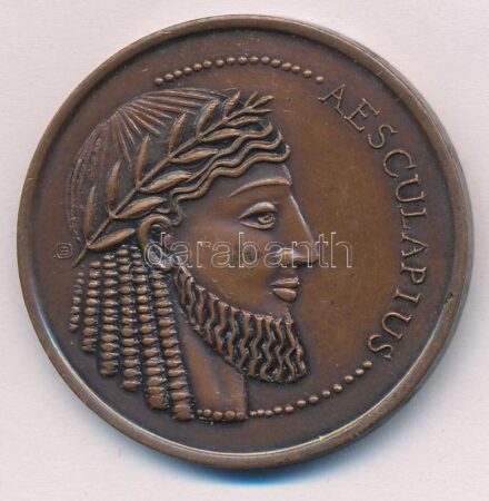 Bakos Ildikó (1948- ) ~1990. 'Aesculapius / Chinoin Hungaria - Condita 1910' kétoldalas bronz emlékérem (42,5mm) T:1