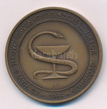 Bognár György (1944-) 1985. 'XII. Heves megyei Orvos-Gyógyszerész Napok Gyöngyös' kétoldalas bronz emlékérem (42,5mm) T:1-