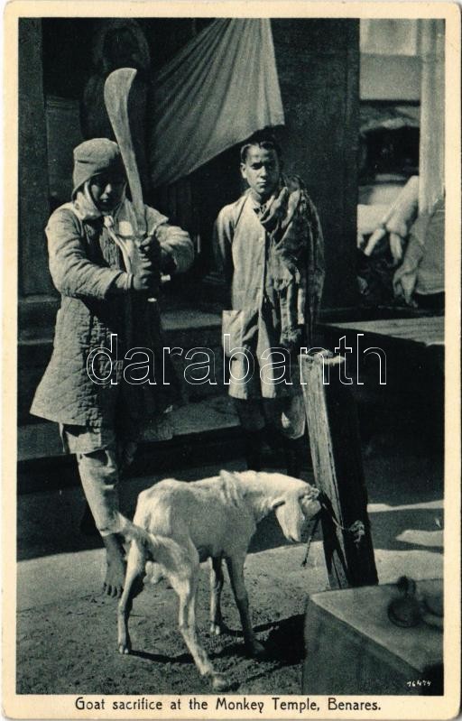Varanasi, Benares; Goat sacrifice at the Monkey Temple / India, hinduk kecskét áldoznak a Majom templom előtt
