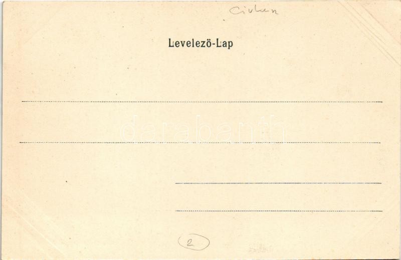 J. & G. Hagenbeck's Malabaren / human zoo, circus, Indian people - Image 2