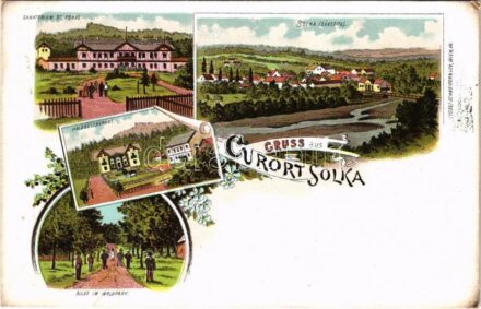 Solca, Szolka, Solka (Bukovina); Gruss aus Curort Solka. Sanatorium Dr. Poras, Waldrestaurant, Allee im Waldpark / spa, sanatorium, forest restaurant, park. Schneider & Lux, Wien. Art Nouveau, floral, litho (EK)