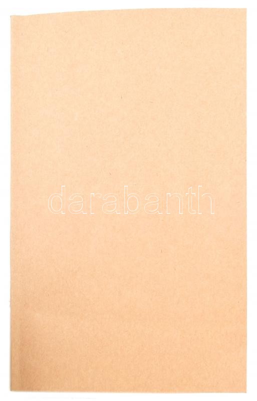 Scheiber S. H,: A kettős torzszülés boncztana. 4 kőnyomatú ábrával (2 van meg). Pest, 1870. Eggenberger. 18p. Későbbi papírborítóval 32p + 2 t. - Image 3