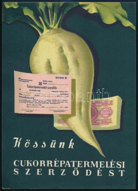 Villamosplakát: Kössünk cukorrépatermelési szerződést!, Gr.: Bánhidi, 23,5x16,5 cm