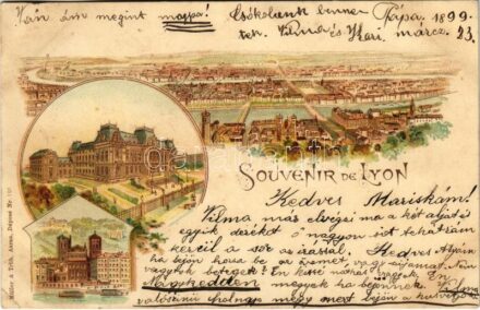 1899 (Vorläufer) Lyon. Müller & Trüb Nr. 191. Art Nouveau, litho (EK)