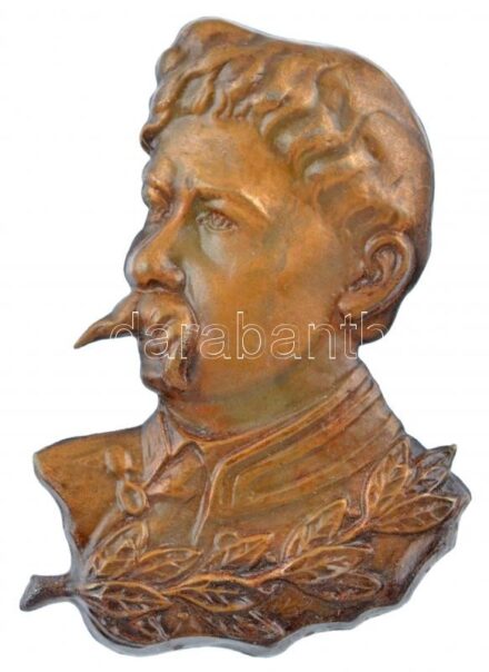 DN 'Arany János' Br jelvény (50x34mm) T:2