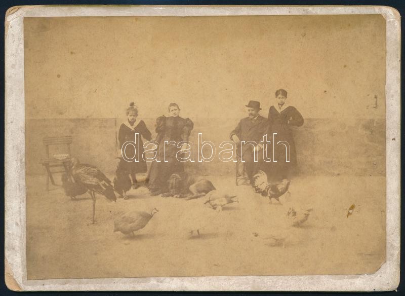 cca 1890 Baromfiudvar különböző madarakkal, családdal, keményhátú fotó sérülésekkel, 13×18 cm