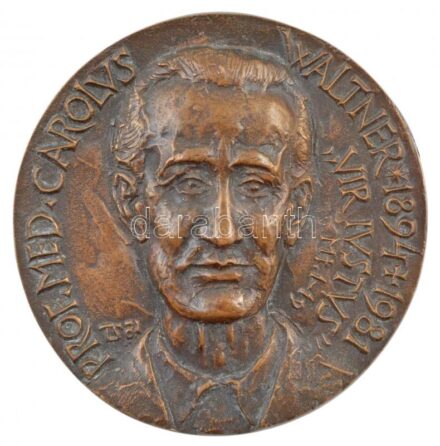 Tóth Sándor (1933-2019) 1981. 'PROF. MED. CAROLVS WALTNER 1894-1981 - VIR IUSTUS MT. 1-19 / Amit a legkisebb testvéreim közül eggyel is tettetek velem tettétek - Máté 25,40' kétoldalas, öntött bronz emlékérem (