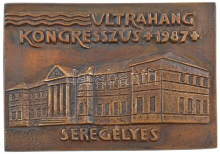 1987. 'Ultrahang Kongresszus 1987 - Seregélyes' egyoldalas, öntött bronz plakett (90x130mm) T:1-