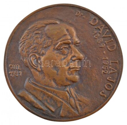 Osváth Mária (1921-1998) 1981. 'Dr. Dávid Lajos 1889-1962 / Kórházi gyógyszerészet fejlesztéséért - A Magyar Gyógyszerészeti Társaság' kétoldalas, öntött bronz emlékérem (115mm) T:1- kis patina