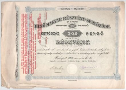 Budapest 1929. 'Első Magyar Részvény-Serfőzde' 5db részvénye egyben, összesen 200P-ről 'Dreher-Haggenmacher-Első Magyar Részvényserfőzöde R.T.' felülbélyegzésével, szelvényekkel és szárazpecséttel T:II-