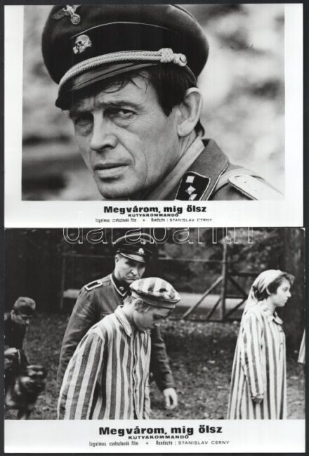 cca 1965 ,,Megvárom, míg ölsz - kutyakommandó' című csehszlovák film jelenetei és szereplői, 23 db vintage produkciós filmfotó, ezüst zselatinos fotópapíron, 18x24 cm