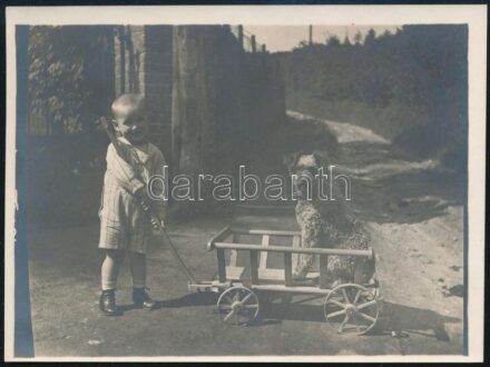 1925 Vilmos kisfiú és játszópajtása, a 'Bogár-kutya', hátoldalán feliratozott és datált vintage fotó, 9x12 cm