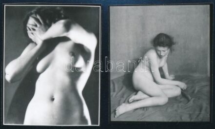 cca 1935 Aktmodellek, 2 db később készült nézőkép, 5x4 cm és 5x4,5 cm