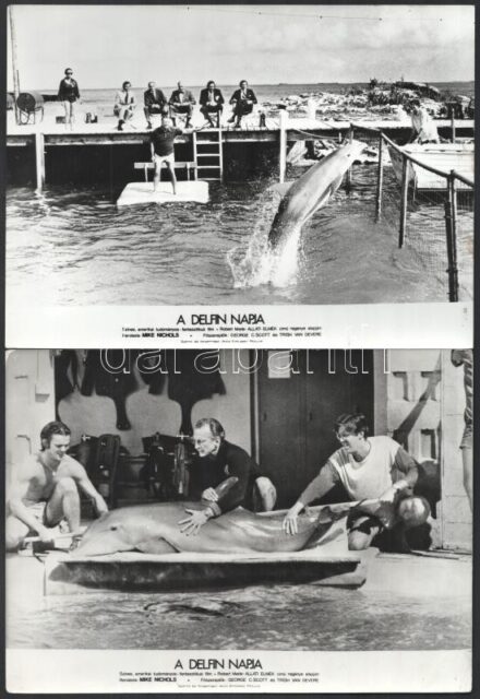 1973 ,,A delfin napja' című amerikai tudományos-fantasztikus film jelenetei és szereplői (köztük George C. Scott, Trish Van Devere), 13 db vintage produkciós filmfotó, ezüst zselatinos fotópapíron, kisebb hibákkal, 18x24 cm