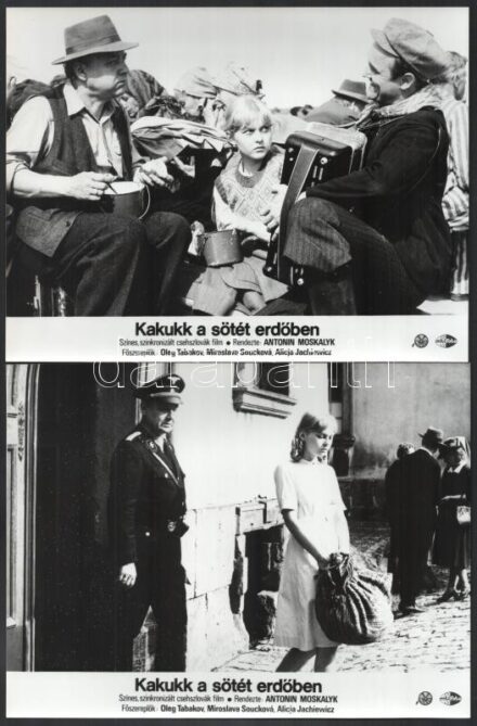 1985 ,,Kakukk a sötét erdőben' című csehszlovák film jelenetei és szereplői, 6 db vintage produkciós filmfotó, ezüst zselatinos fotópapíron, 18x24 cm