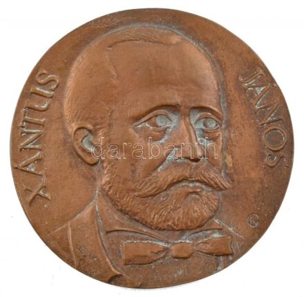 ~1970-1980. 'Xantus János / A Somogy Megyei Tanács Alkotói Díja' kétoldalas, öntött bronz plakett, eredeti dísztokban. Szign.: KG (89mm) T:1- patina
