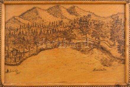 Szilveszter Albert (?-): Szováta. Pirográfia, rétegelt falemez. Jelzett a hátoldalán. 32X47 cm. Fa keretben.