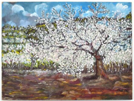 Olvashatatlan jelzéssel: Tavaszi virágzás. Olaj, farost, 30×40 cm