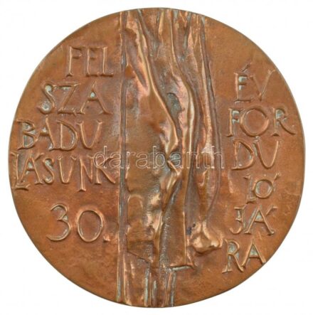 ~1970-1980. 'Felszabadulásunk 30. évfordulójára' egyoldalas, öntött bronz plakett T:1-