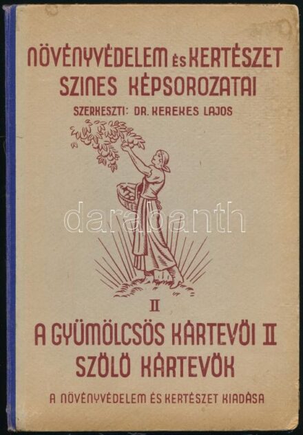 Növényvédelem és kertészet színes képsorozatai II. A gyümölcsös kártevői II. Szőlő kártevék. Bp., én., Növényvédelem és Kertészet. Kiadói kopott, foltos, kissé sérült mappában. + Piacos gyümölcsfajtáink. Szerk.: Beke