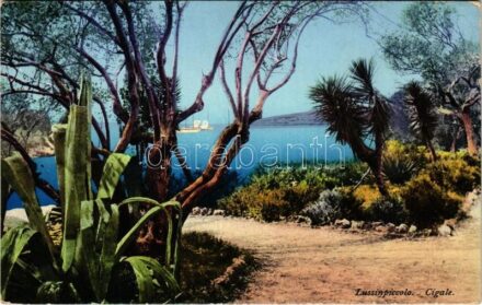 Mali Losinj, Lussinpiccolo; Cigale (fa)