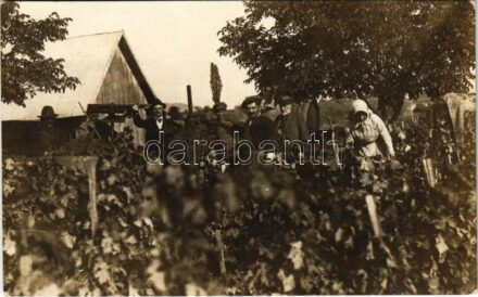 1923 Szekszárd, szüret a szőlőhegyen, szőlőprés. photo (fa)