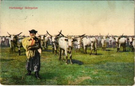 1913 Hortobágy, ökörgulya (EK)