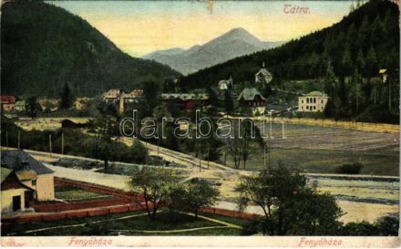 1906 Fenyőháza, Lubochna (Tátra, Tatry); Feitzinger Ede (vágott / cut)