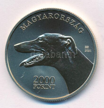 2021. 2000Ft Cu-Ni-Zn 'Magyar Agár' kapszulában, a Magyar Pénzverő Zrt. színes tájékoztatójával T:PP