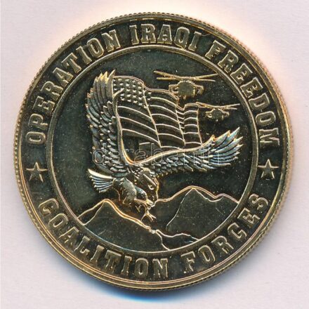 Amerikai Egyesült Államok 1991. 'Koalíciós erők' kétoldalas, aranyozott emlékérem (39mm) T:1,1- USA 1991. 'Coalition forces' two-sided, gilt medallion (39mm) C:UNC,AU