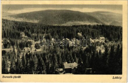 Borszék, Borsec; látkép / general view (EK)
