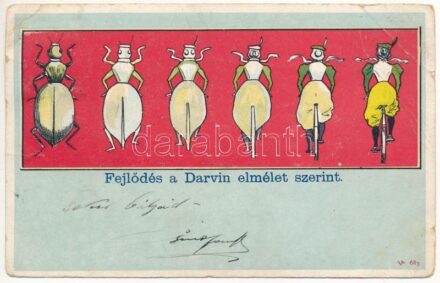 1900 Fejlődés a Darwin elmélet szerint / Darwin's evolution theory, humour, bug - lady on bicycle (EB)