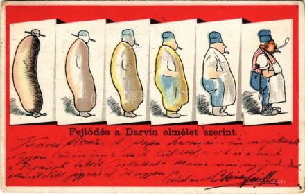 1900 Fejlődés a Darwin elmélet szerint / Darwin's evolution theory, humour, sausage - butcher (kopott sarkak / worn corners)