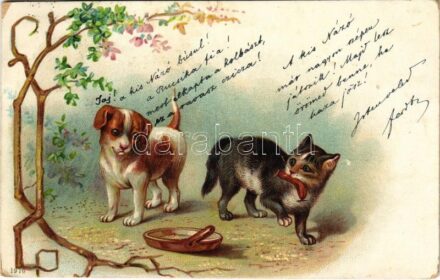 1900 Cat and dog with sausage. Floral, litho (EK)