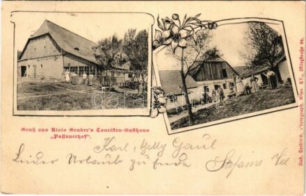 1903 Passauerhof, Gruss aus Alvis Gruber's Touristen-Gasthaus 'Passauerhof' / tourist house, inn. Rud. Trebitsch Photograph (Wien) Art Nouveau, floral