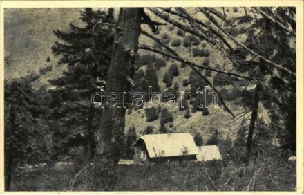 1940 Kassa, Kosice; Erika menház / rest house (EK)