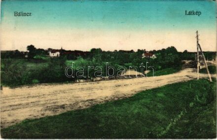 Bálinc, Balint; látkép, út / general view, road (EK)