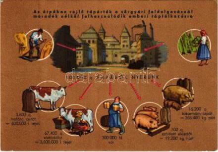 Dreher Haggenmacher Első Magyar Részvény Serfőzde Rt. reklámlapja az az árpa felhasználásáról / Hungarian brewery advertising card explaining the use of barley (EK)