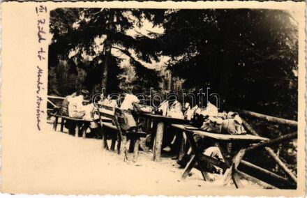 Tátra, Magas-Tátra, Vysoké Tatry; Zöld-tó menedékháznál / at the tourist house. photo