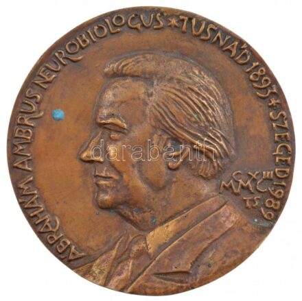 Tóth Sándor (1933-) 1993. 'Ábrahám Ambrus neurobiológus - Tusnád 1893 - Szeged 1989' egyoldalas, öntött bronz plakett (~100-102mm) T:1- kis patina, hátoldal karcos