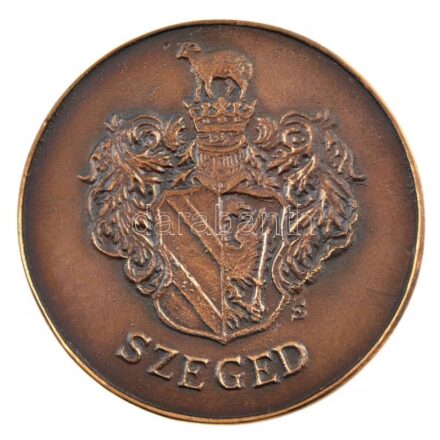 ~1970-1980. 'Véradásért - Vöröskereszt Véradó Szolgálat / Szeged' kétoldalas, öntött bronz emlékérem (88mm) T:1-