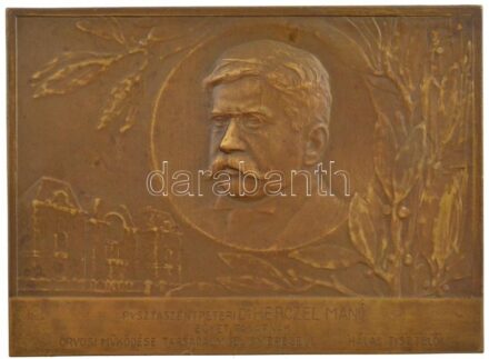 Berán Lajos (1882-1943) 1910. 'Pusztaszentpéteri Dr. Herczel Manó Egyet. Tanárnak orvosi működése társadalmi elismeréséül - Hálás tisztelői' kétoldalas bronz plakett (73x100mm) T:2 kis ph Hungary 1910. For professor Dr. Manó