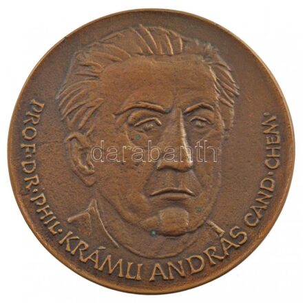 Fritz Mihály (1947-) 1985. 'PROF DR PHIL KRÁMLI ANDRÁS CAND CHEM / SZEGED 1935 1985' kétoldalas, öntött bronz emlékérem (89mm) T:1- apró patina