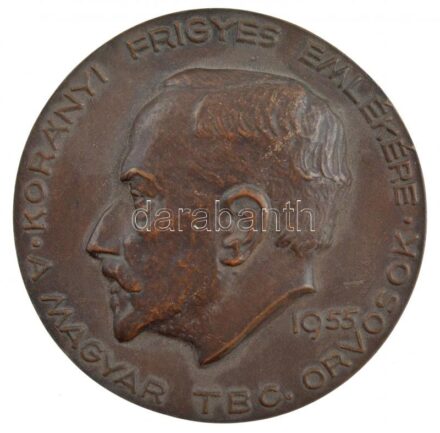Madarassy Walter (1909-1994) 1963. 'Dr. Korányi Frigyes 1828-1913 / 1963' kétoldalas, öntött bronz plakett (80,5mm) T:1-