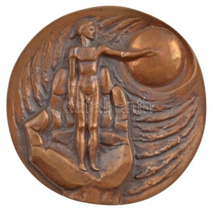 Horváth János (1940-) 1981. '50 éves a Magyar Élettani Társaság' kétoldalas bronz plakett (90mm) T:1- CS 917.
